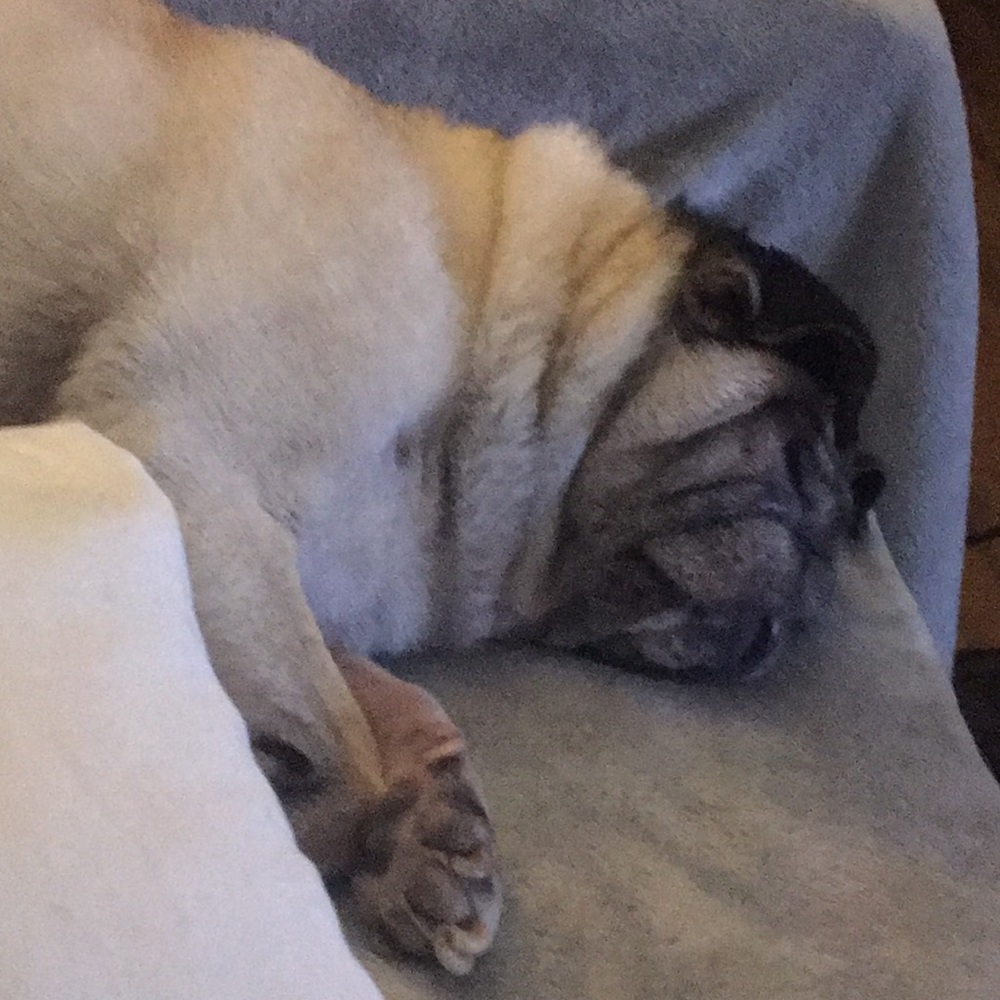 Meet your Posher, Alex